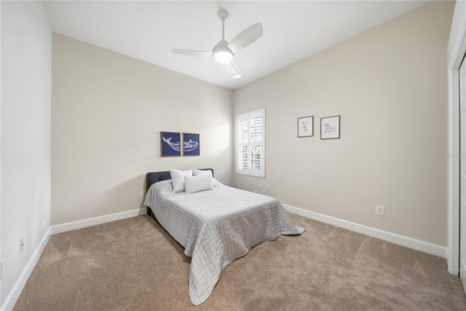 17210 BROADOAK DR, TAMPA, FL, 33647