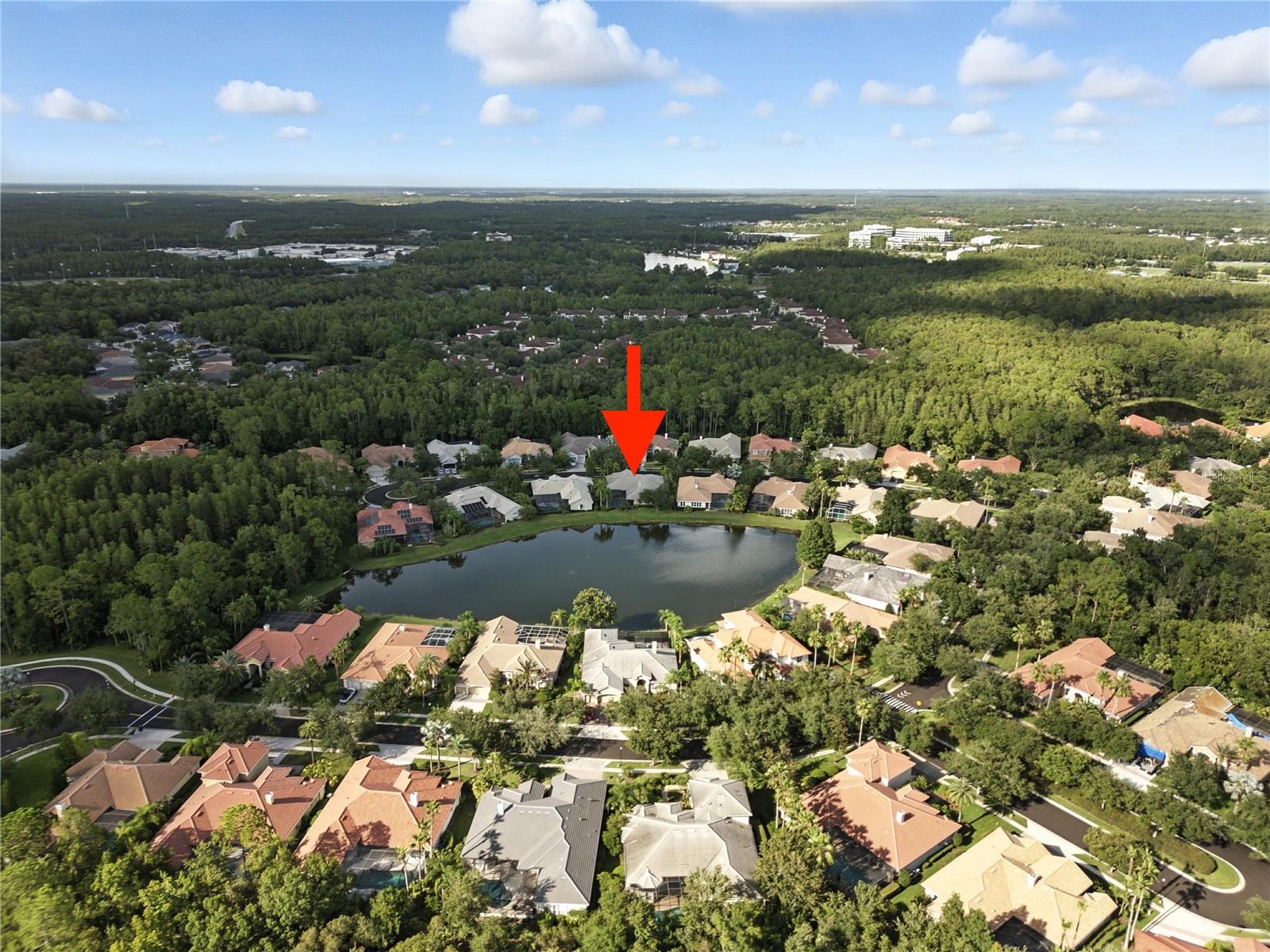 17210 BROADOAK DR, TAMPA, FL, 33647