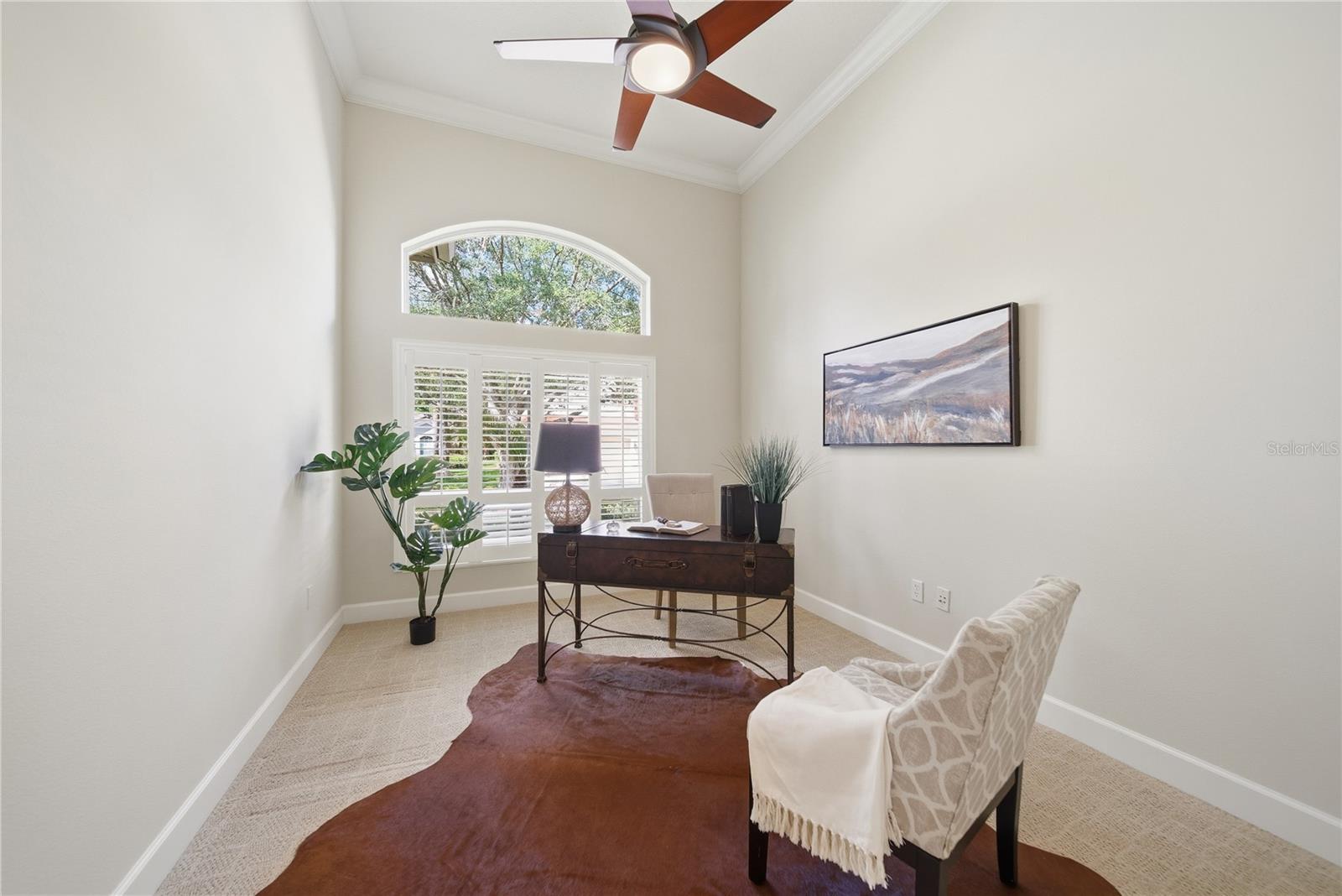 17210 BROADOAK DR, TAMPA, FL, 33647