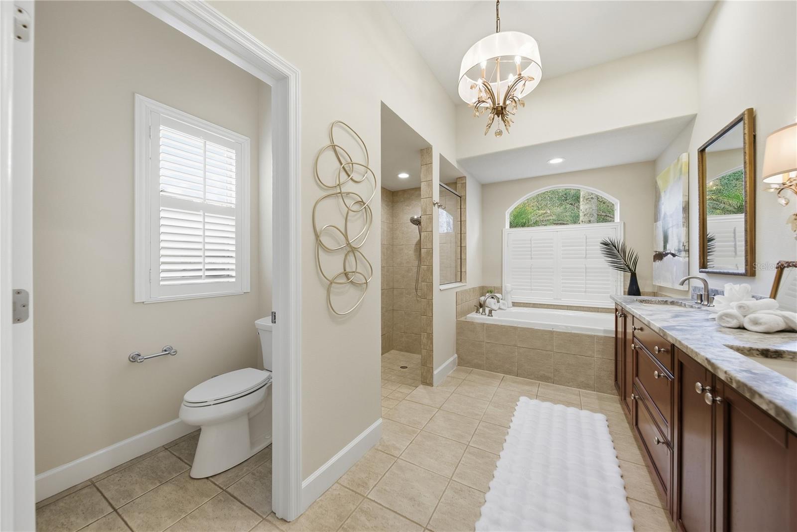 17210 BROADOAK DR, TAMPA, FL, 33647