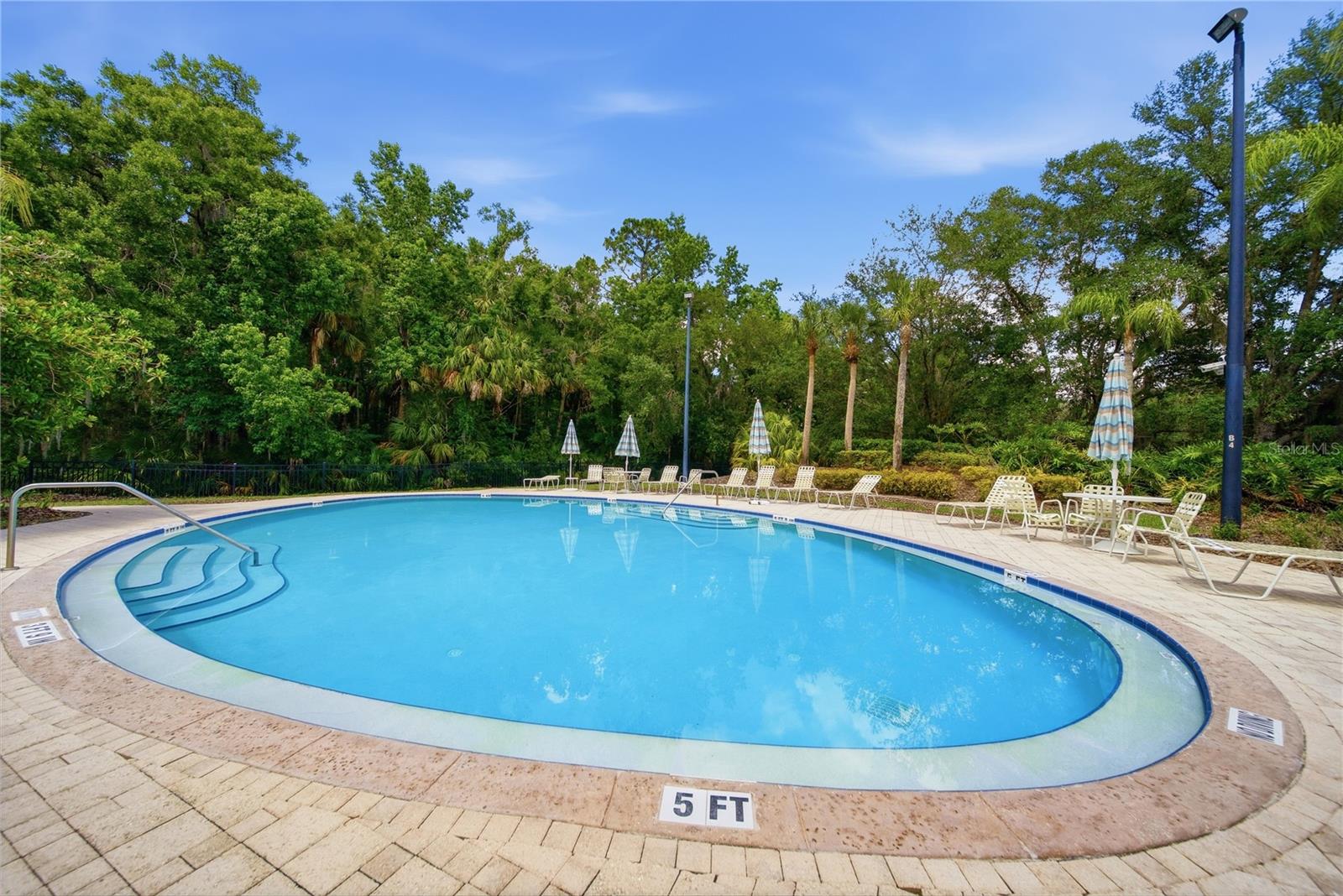 17210 BROADOAK DR, TAMPA, FL, 33647