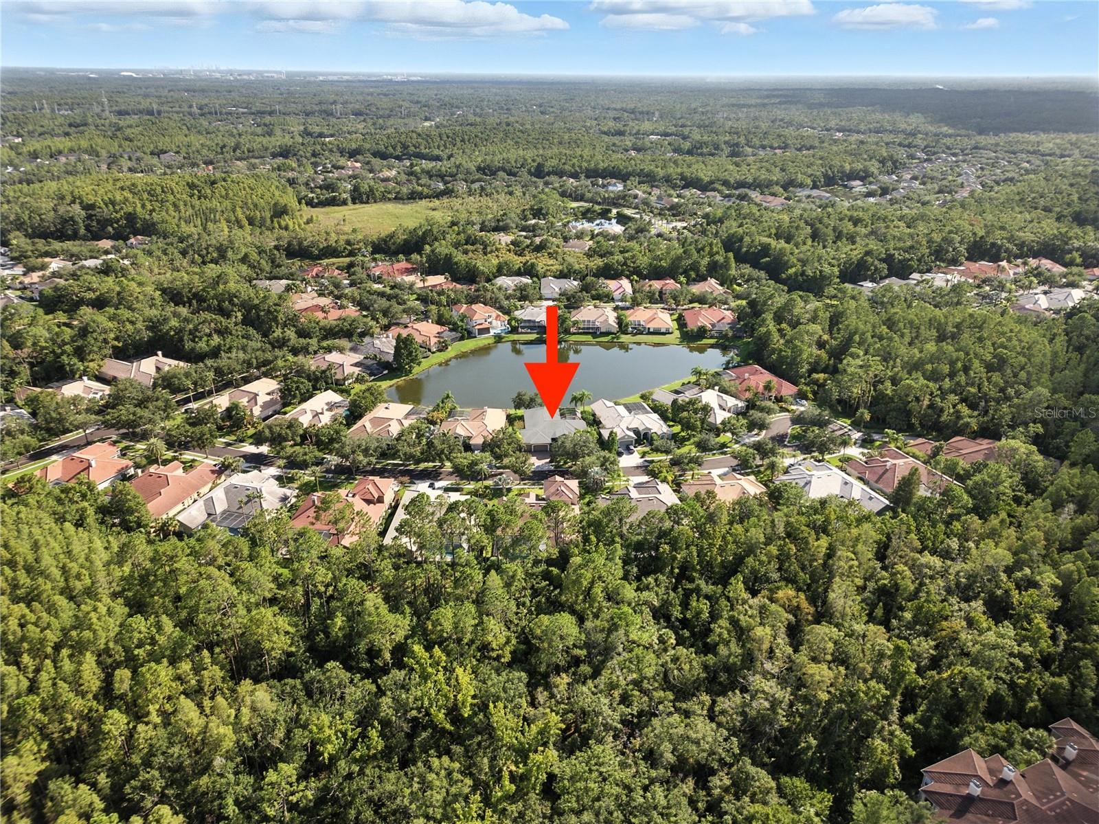 17210 BROADOAK DR, TAMPA, FL, 33647
