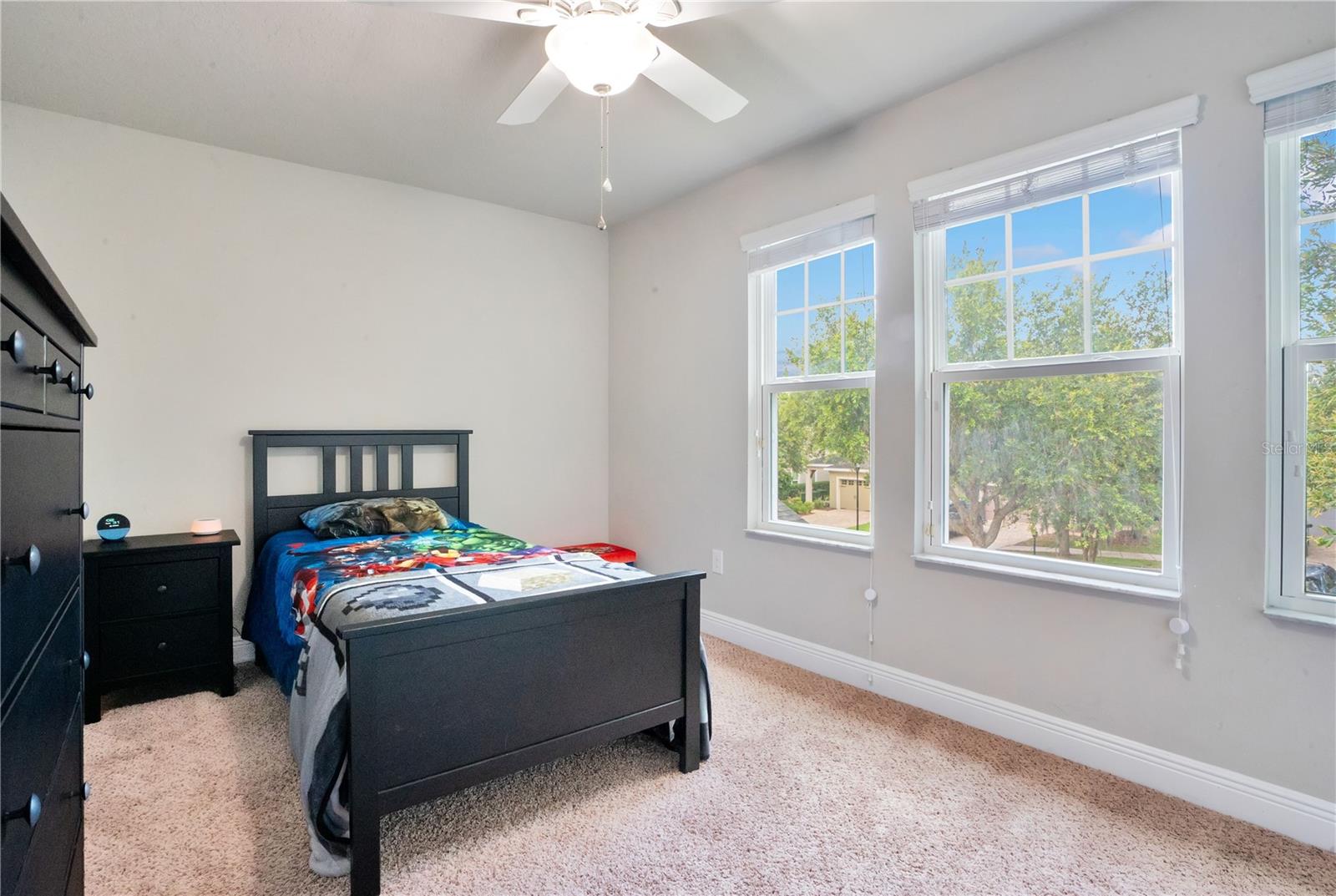 16308 BAYBERRY VIEW DR, LITHIA, FL, 33547