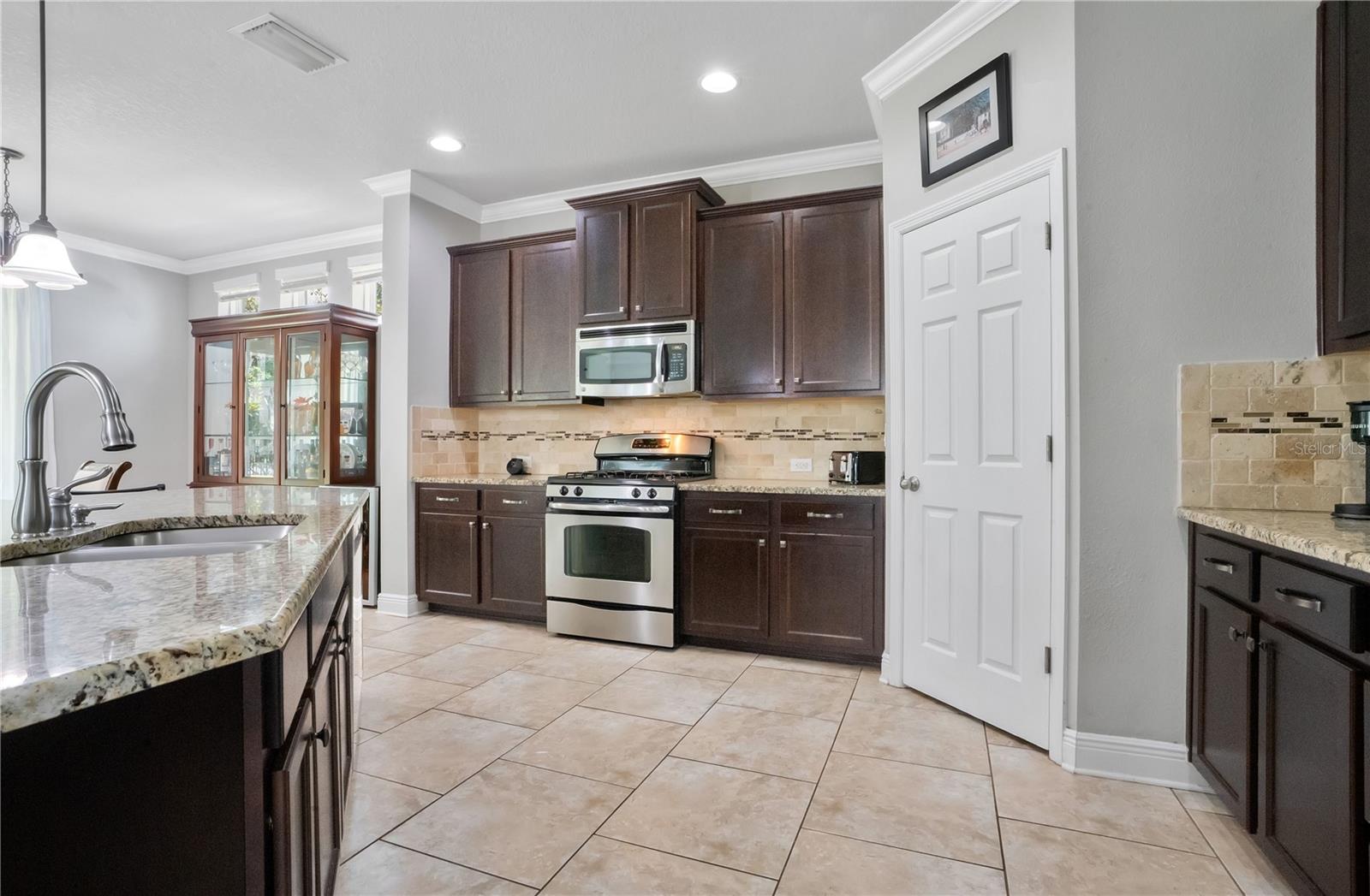 16308 BAYBERRY VIEW DR, LITHIA, FL, 33547