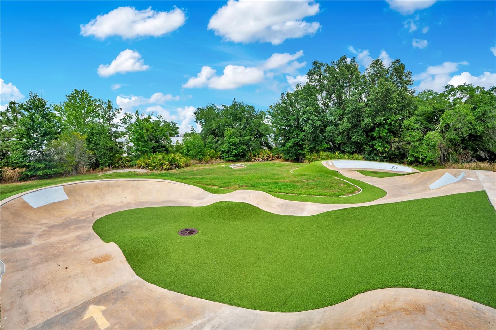 16308 BAYBERRY VIEW DR, LITHIA, FL, 33547