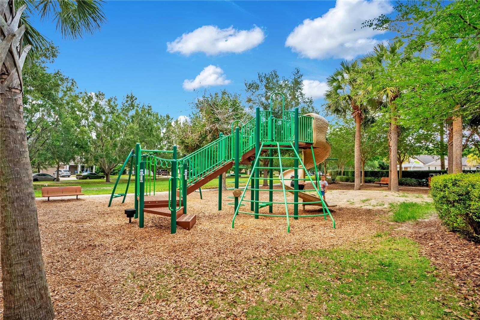 16308 BAYBERRY VIEW DR, LITHIA, FL, 33547