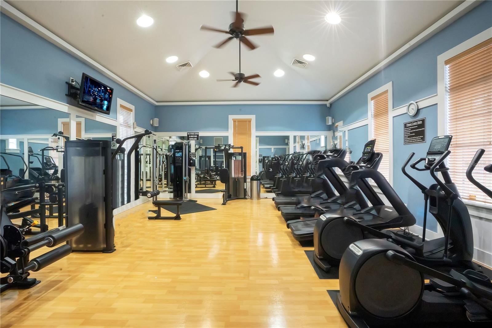 16308 BAYBERRY VIEW DR, LITHIA, FL, 33547