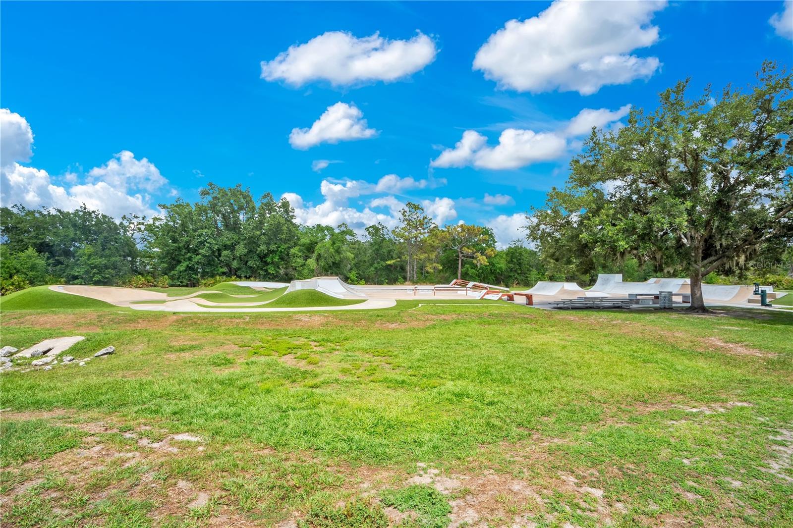 16308 BAYBERRY VIEW DR, LITHIA, FL, 33547