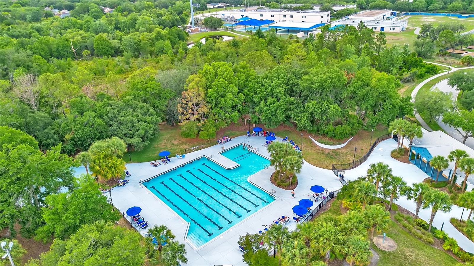 16308 BAYBERRY VIEW DR, LITHIA, FL, 33547