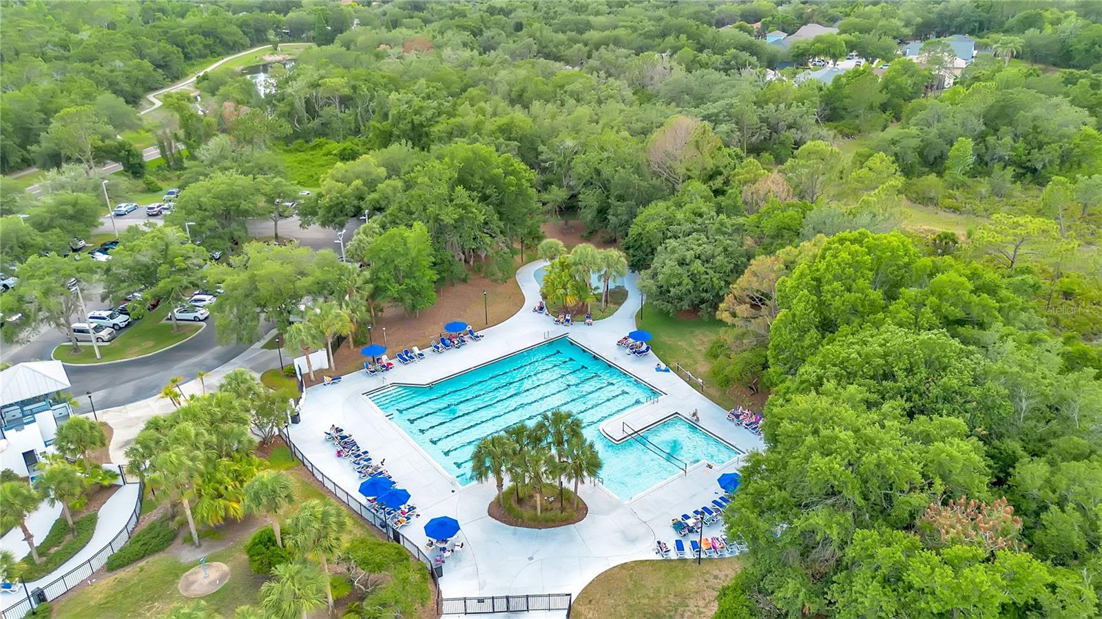 16308 BAYBERRY VIEW DR, LITHIA, FL, 33547