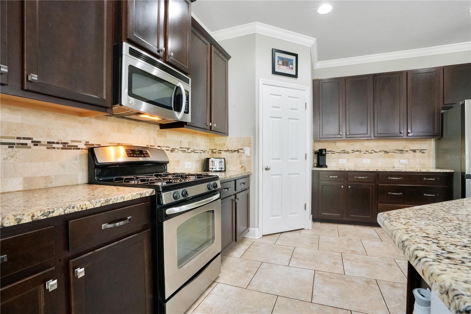 16308 BAYBERRY VIEW DR, LITHIA, FL, 33547