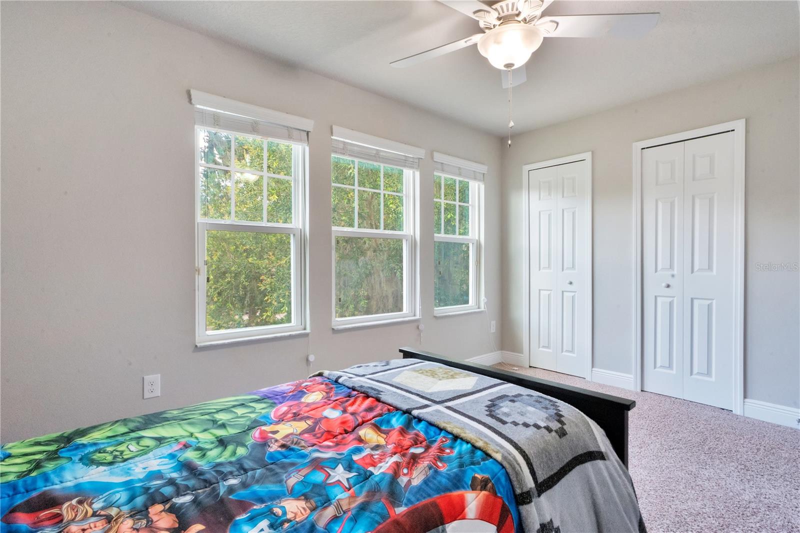 16308 BAYBERRY VIEW DR, LITHIA, FL, 33547
