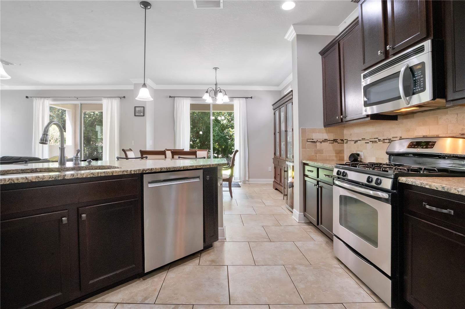 16308 BAYBERRY VIEW DR, LITHIA, FL, 33547