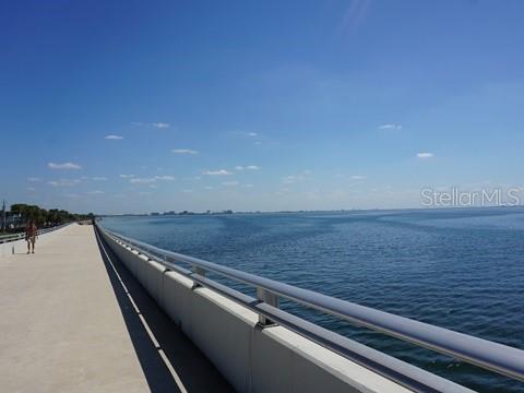 5308 BAY CLUB CIR #5308, TAMPA, FL, 33607