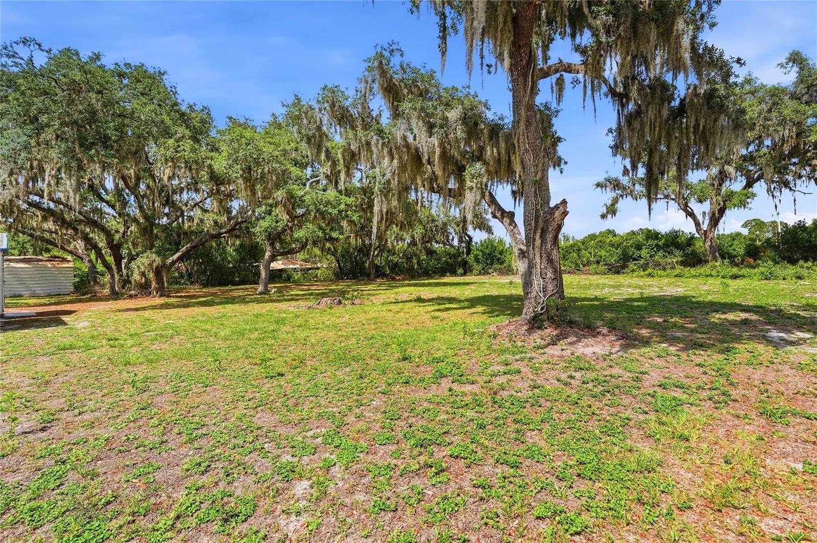 1006 ROBINSON RD, PLANT CITY, FL, 33563