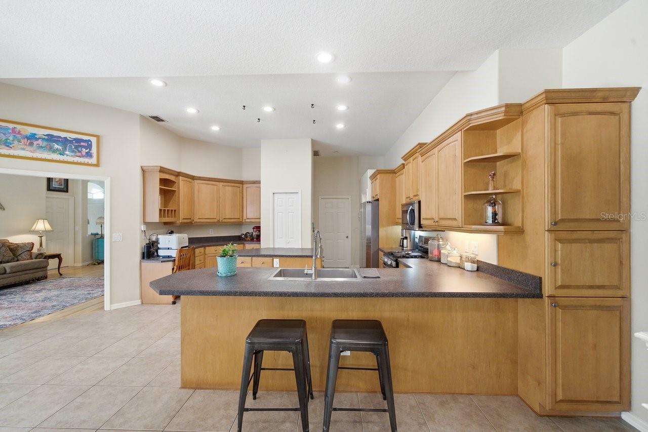 2138 EDELWEISS LOOP, TRINITY, FL, 34655