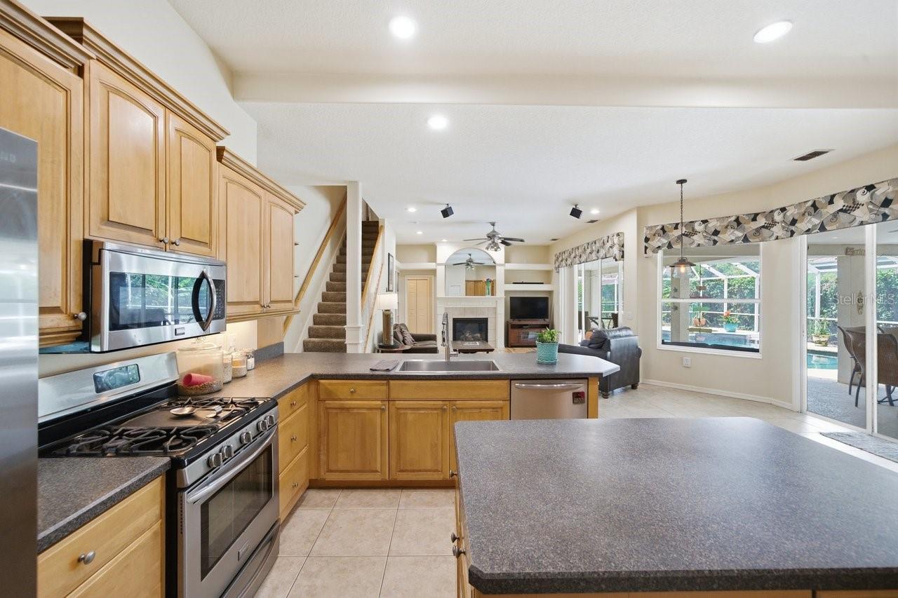 2138 EDELWEISS LOOP, TRINITY, FL, 34655