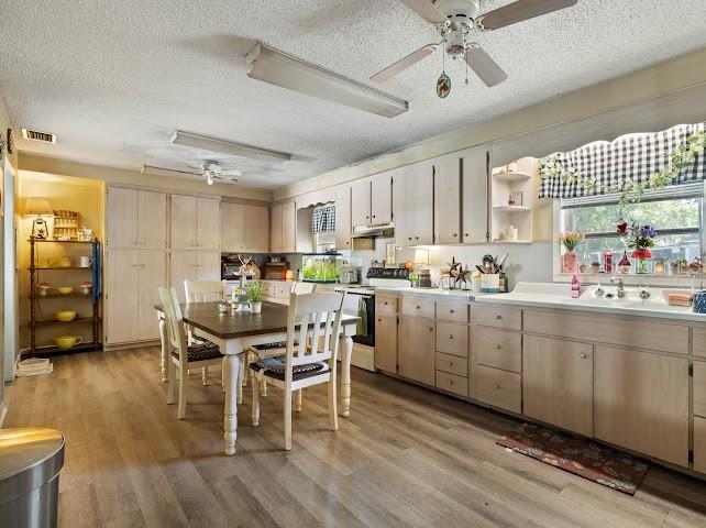 126 S ROBERT AVE, ARCADIA, FL, 34266