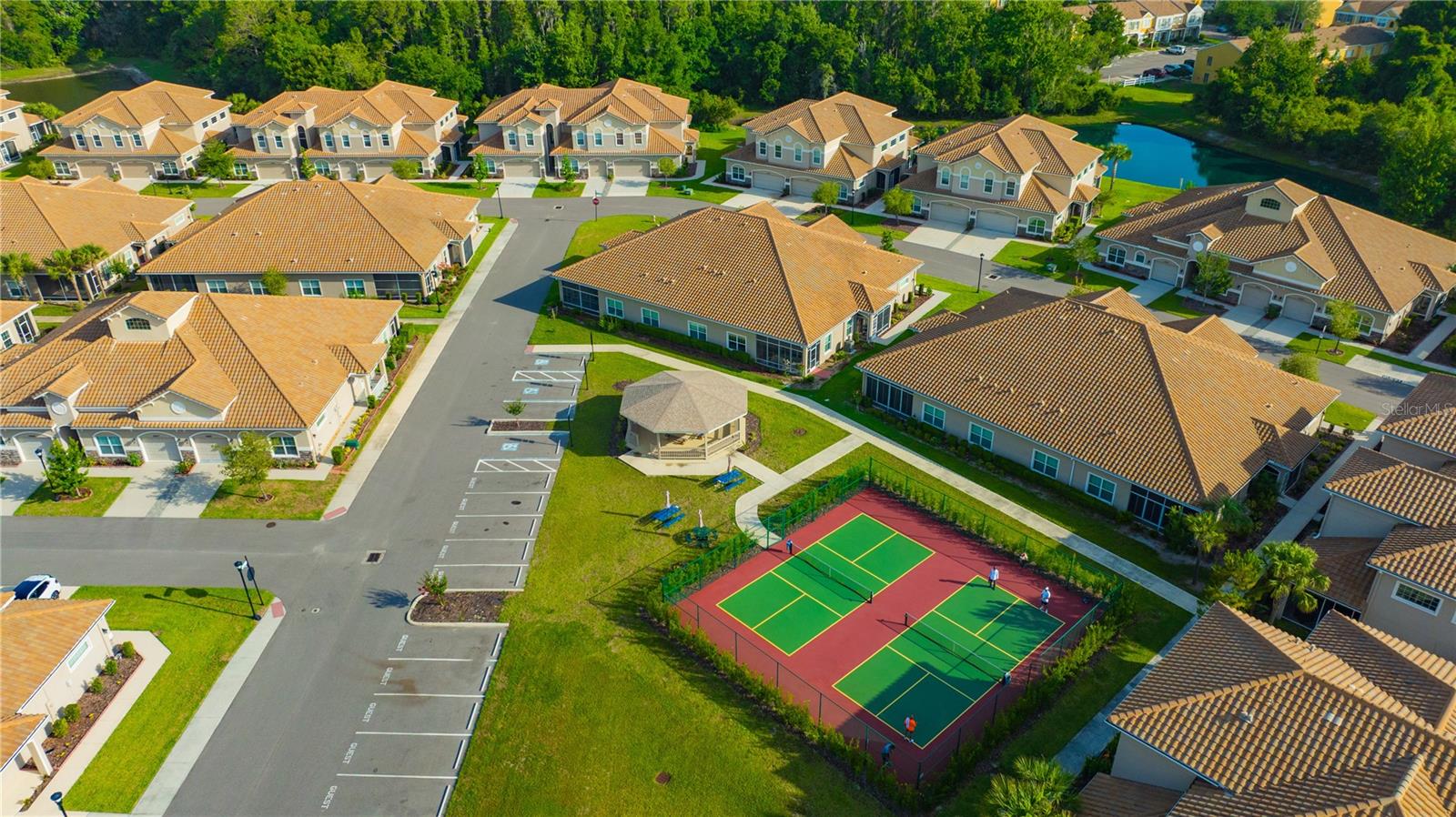 1231 GODAVARI WAY #203, WESLEY CHAPEL, FL, 33543