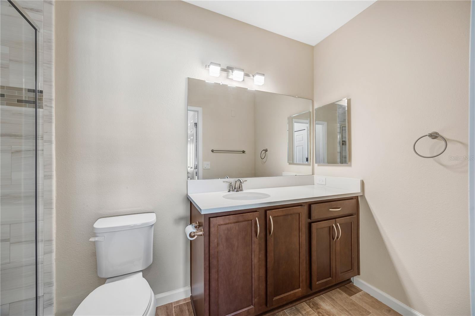 1231 GODAVARI WAY #203, WESLEY CHAPEL, FL, 33543