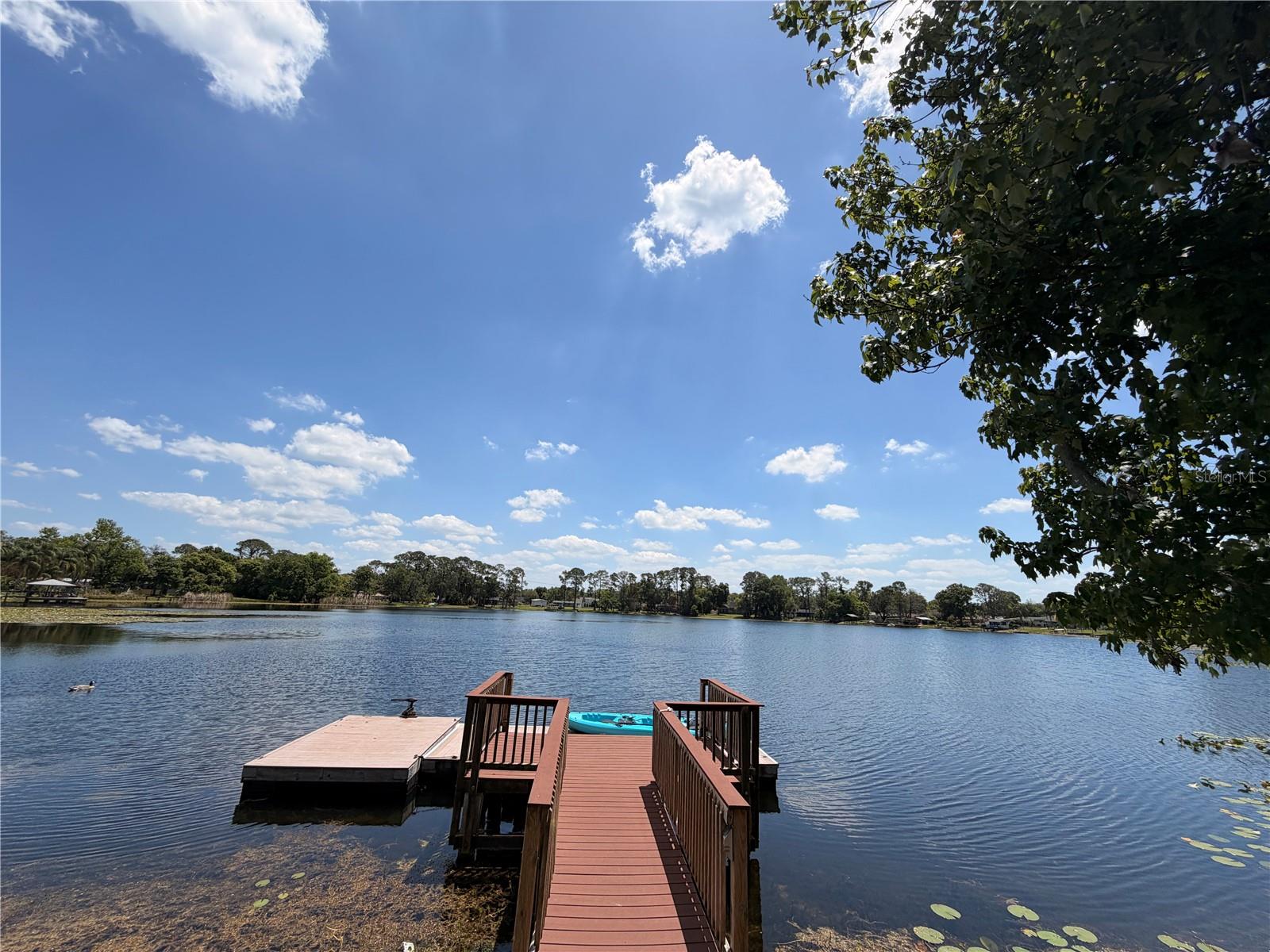 5300 CUB LAKE DR, APOPKA, FL, 32703