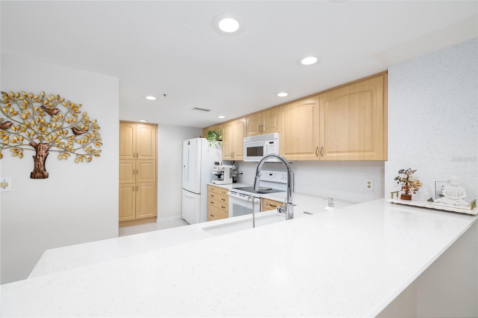 2967 S ATLANTIC AVE #1204, DAYTONA BEACH SHORES, FL, 32118