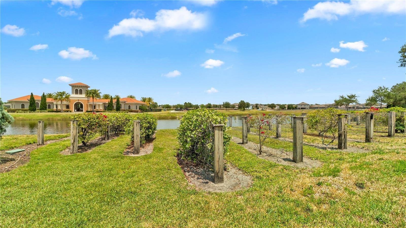 16630 MOSAIC OAR DR, WIMAUMA, FL, 33598