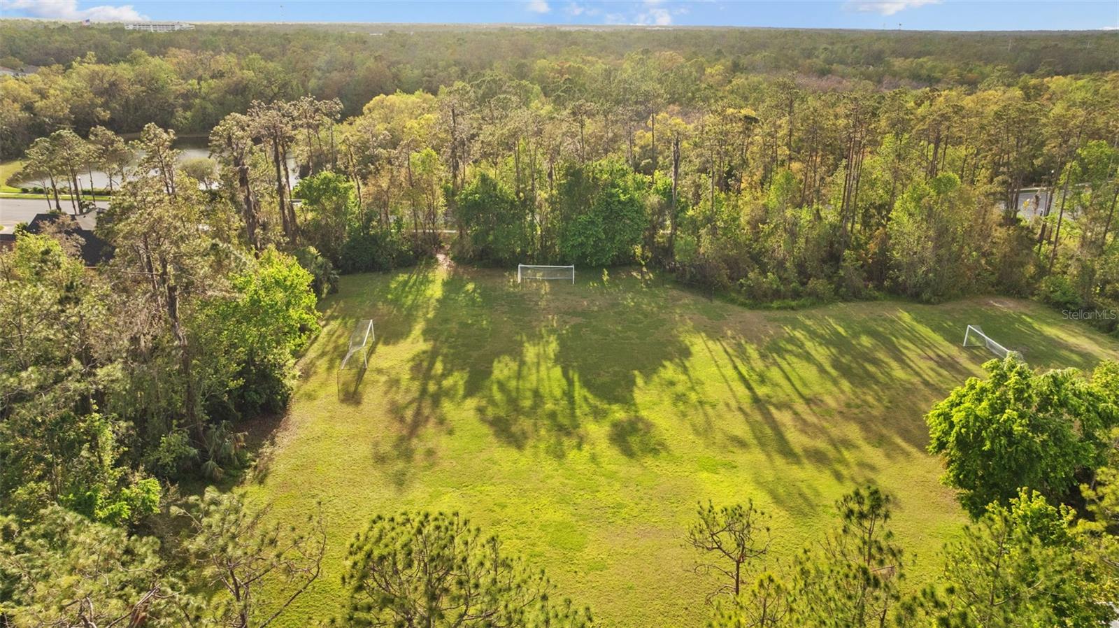 27309 FORDHAM DR, WESLEY CHAPEL, FL, 33544