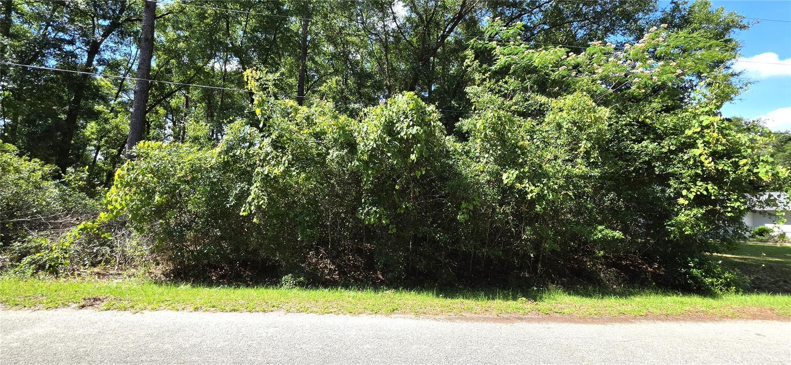 TBD Lot 11 NW 61ST LN, OCALA, FL, 34482