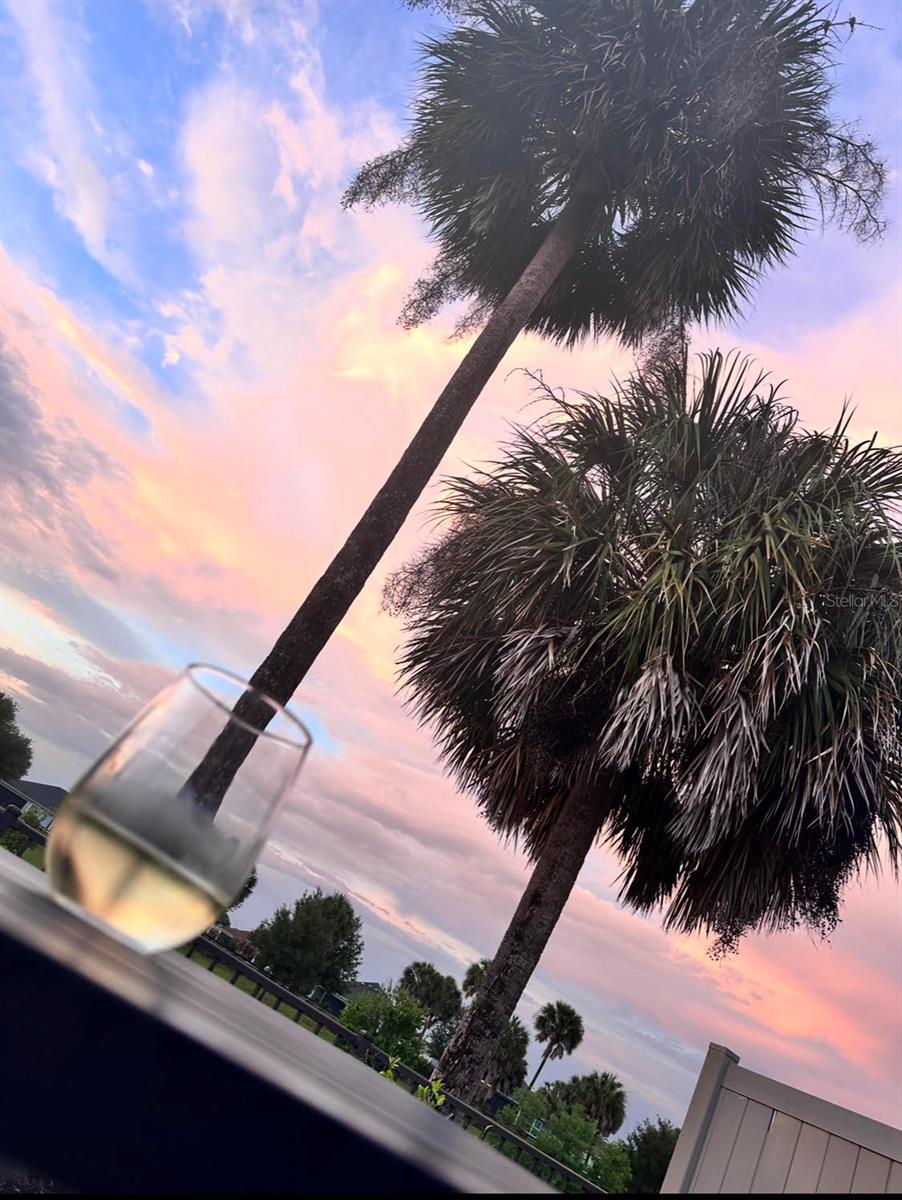 2851 SKIPPER ST, THE VILLAGES, FL, 32163