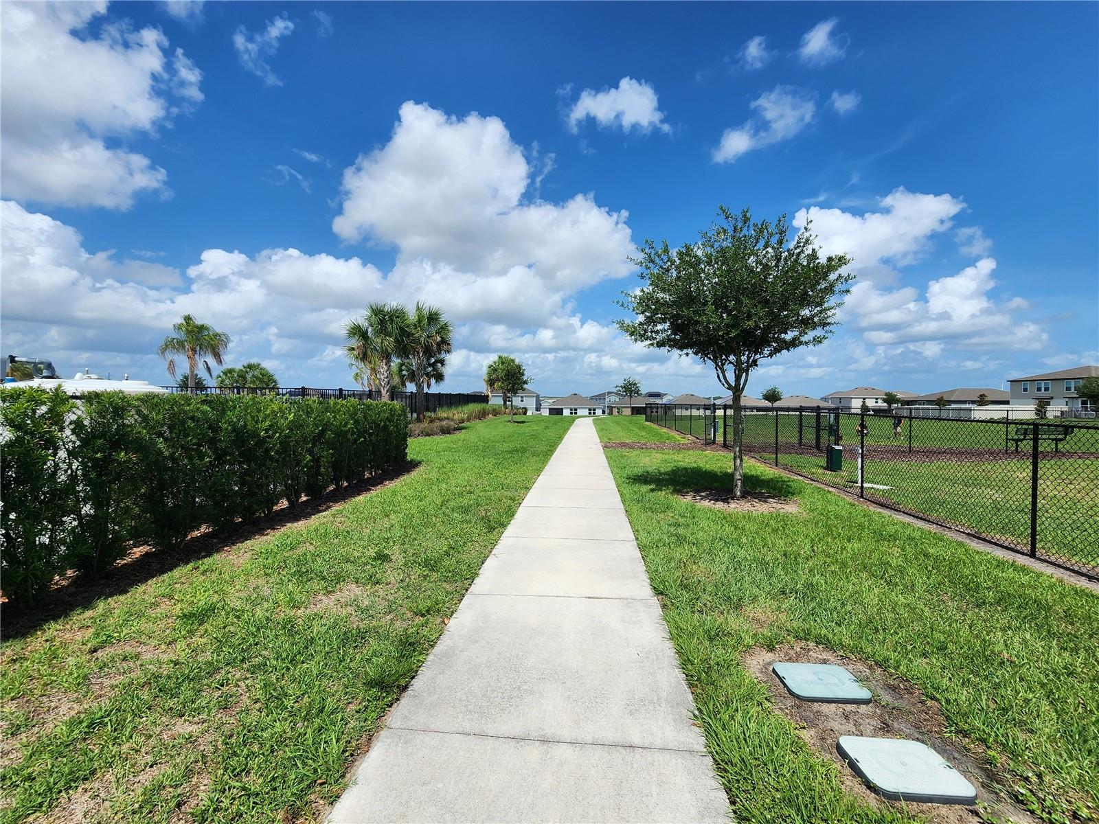 708 GRIFFON AVE, LAKE ALFRED, FL, 33850