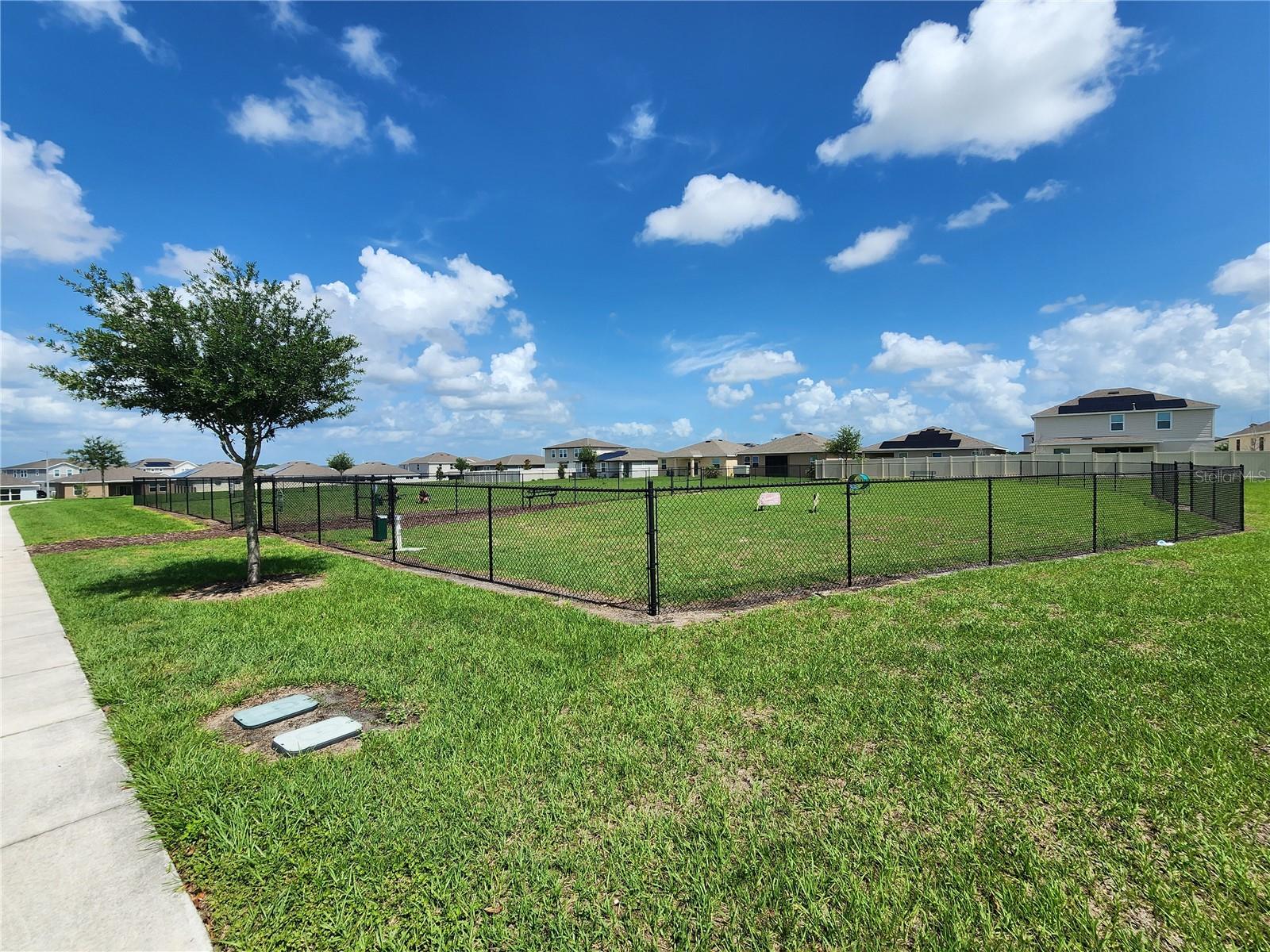 708 GRIFFON AVE, LAKE ALFRED, FL, 33850