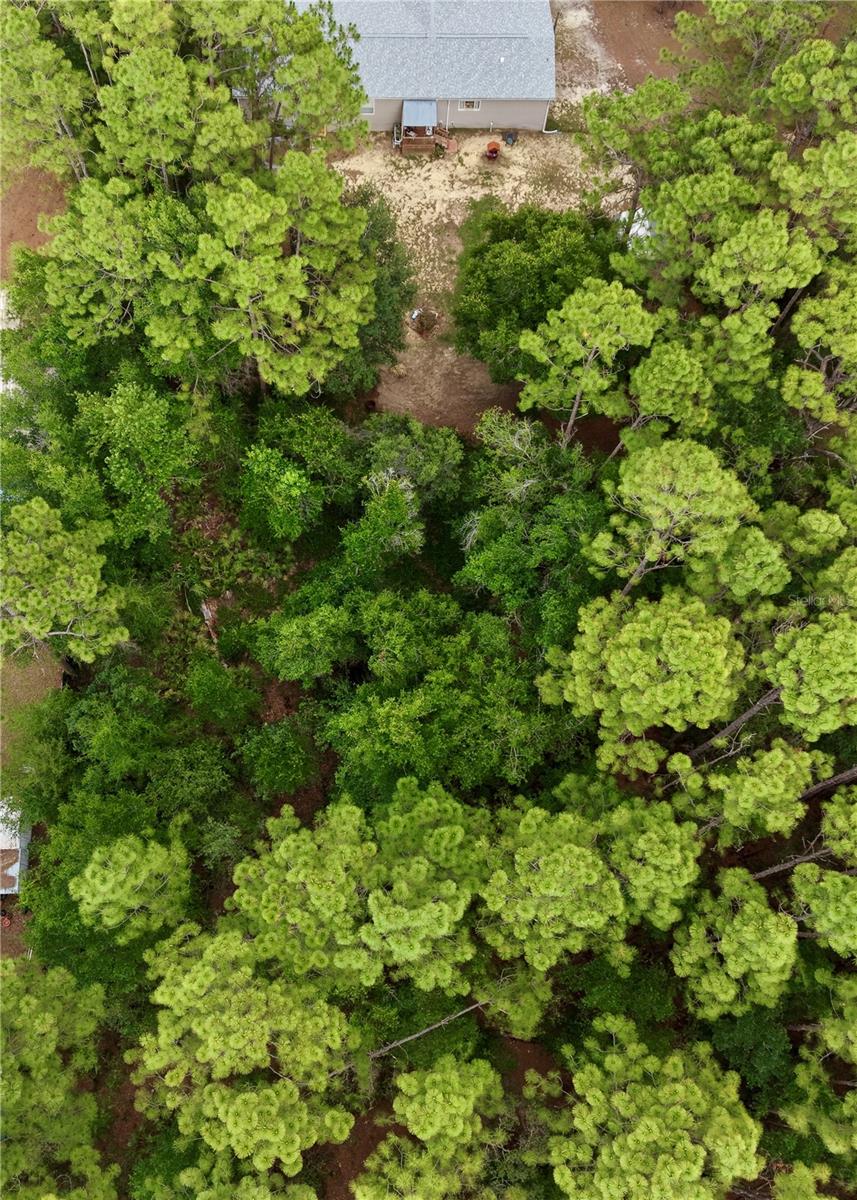 2482 S WAKULLA PT, HOMOSASSA, FL, 34448