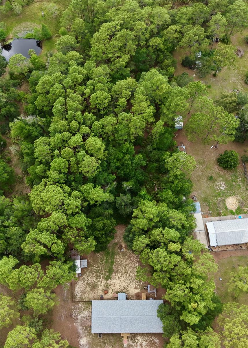 2482 S WAKULLA PT, HOMOSASSA, FL, 34448