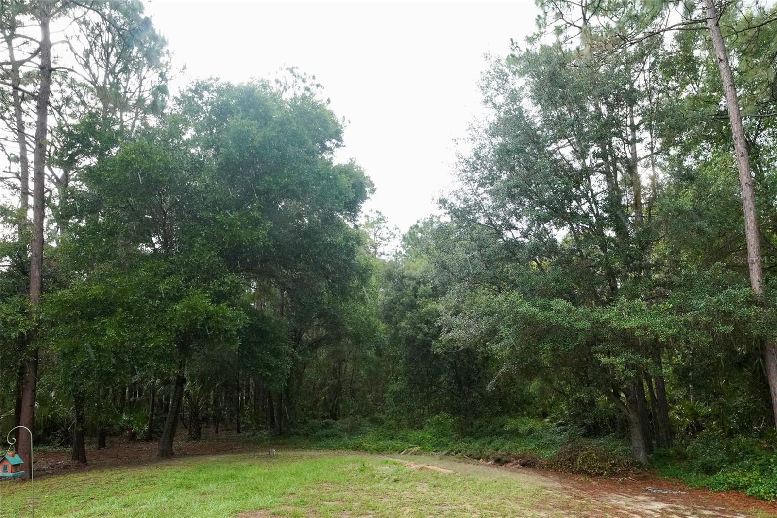 2482 S WAKULLA PT, HOMOSASSA, FL, 34448