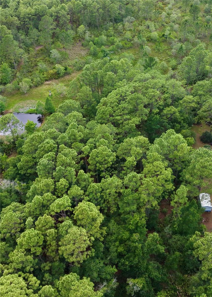 2482 S WAKULLA PT, HOMOSASSA, FL, 34448