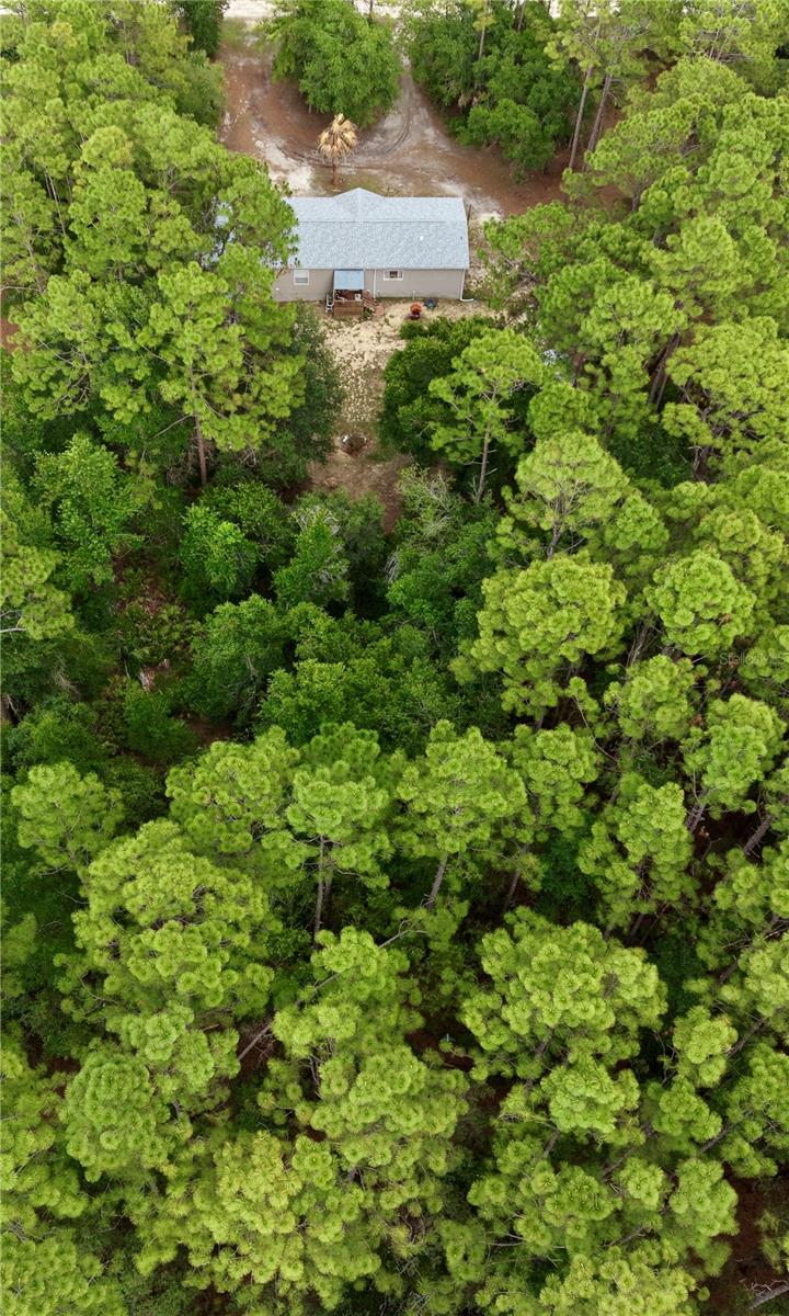2482 S WAKULLA PT, HOMOSASSA, FL, 34448