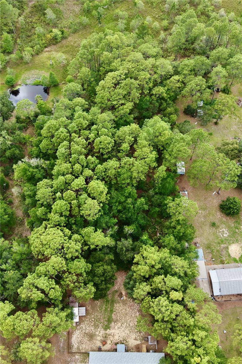 2482 S WAKULLA PT, HOMOSASSA, FL, 34448