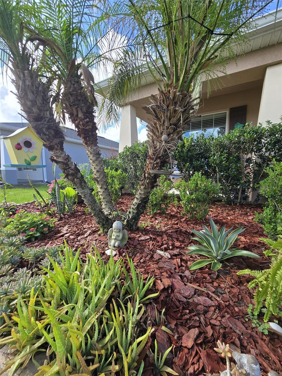 2014 DANES CT, LAKELAND, FL, 33810