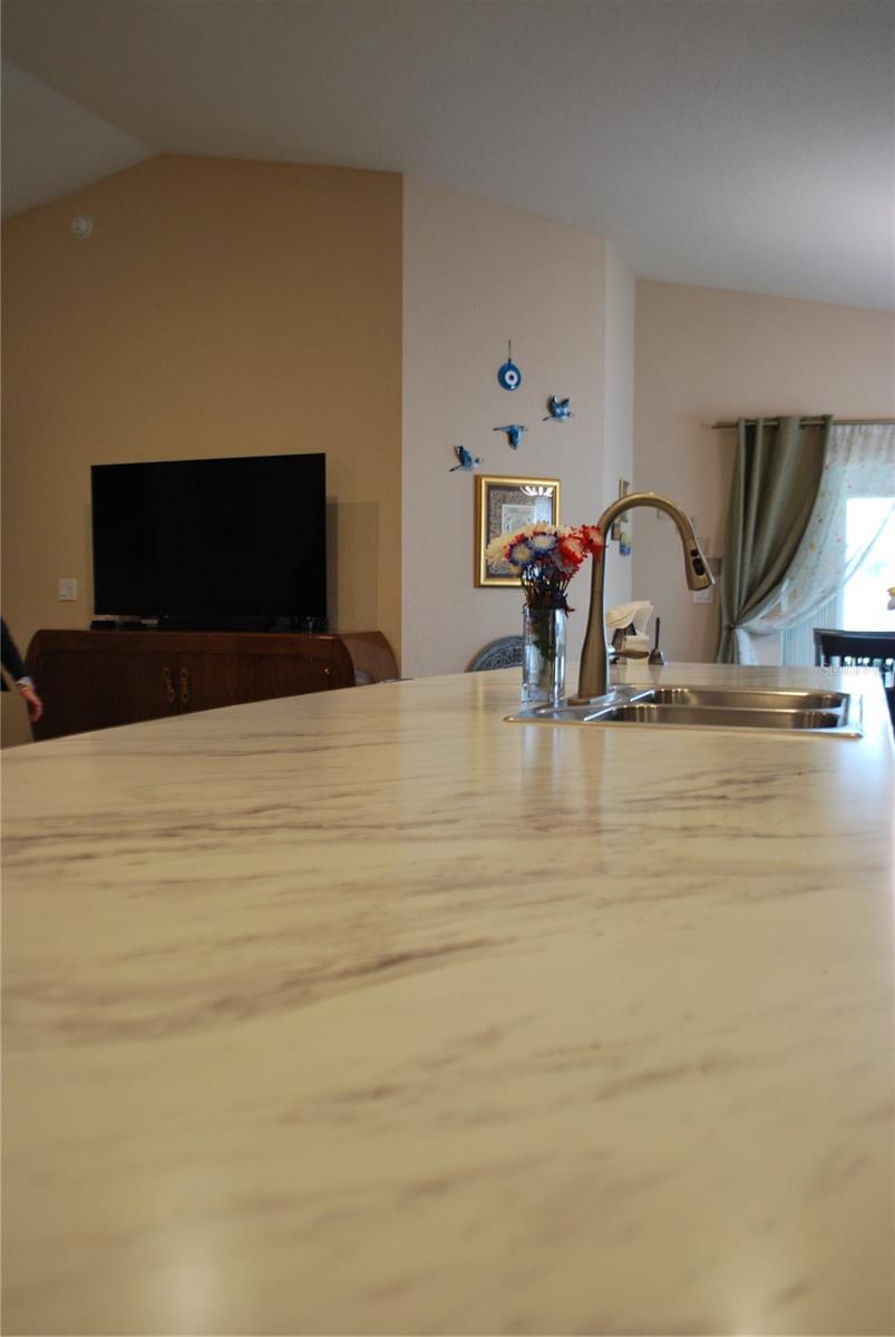 2014 DANES CT, LAKELAND, FL, 33810