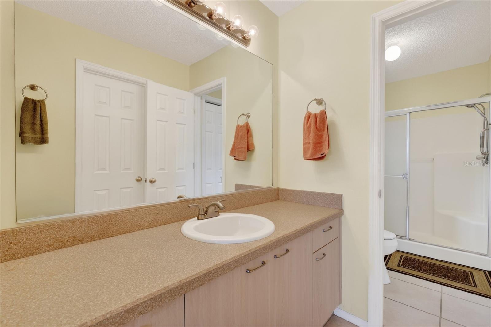 422 SAN MARINO DR, THE VILLAGES, FL, 32159