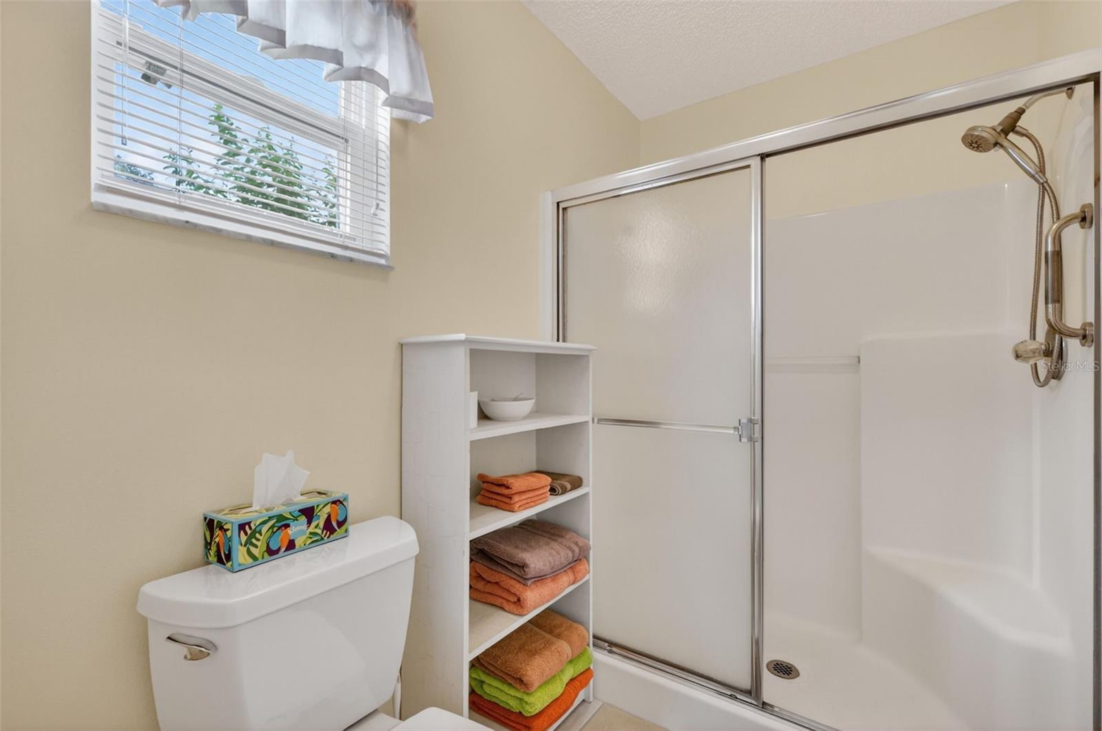 422 SAN MARINO DR, THE VILLAGES, FL, 32159