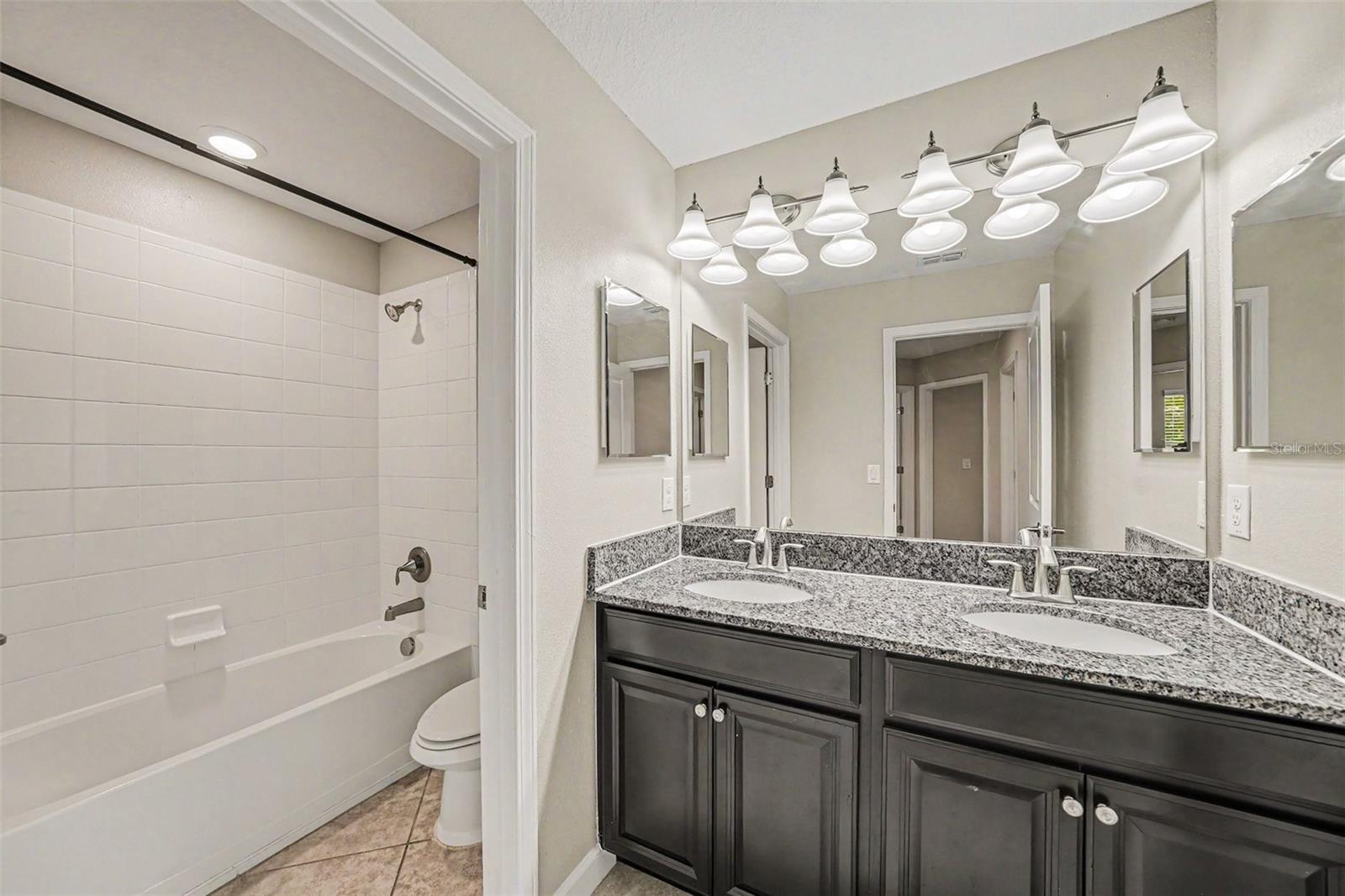 11809 TWILIGHT DARNER PL, LITHIA, FL, 33547