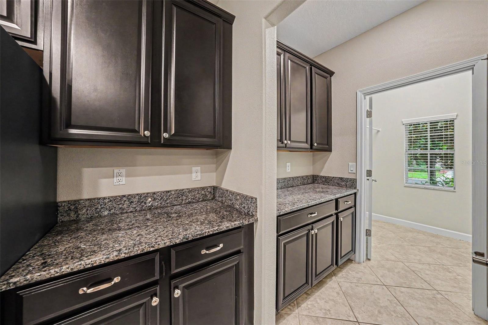 11809 TWILIGHT DARNER PL, LITHIA, FL, 33547
