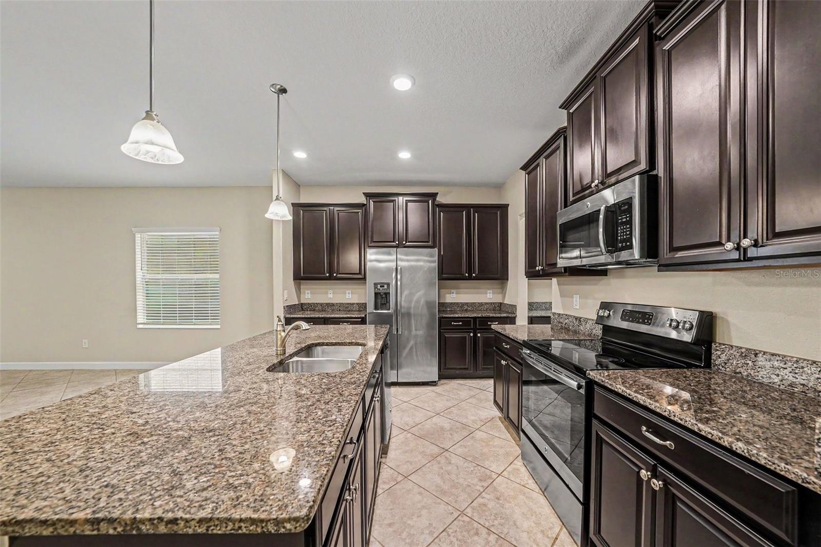 11809 TWILIGHT DARNER PL, LITHIA, FL, 33547