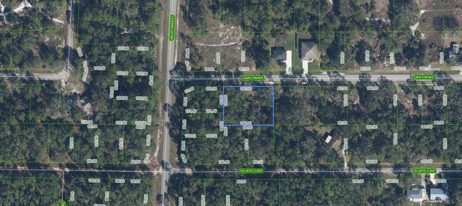 3154 CARLTON AVE, LAKE PLACID, FL, 33852