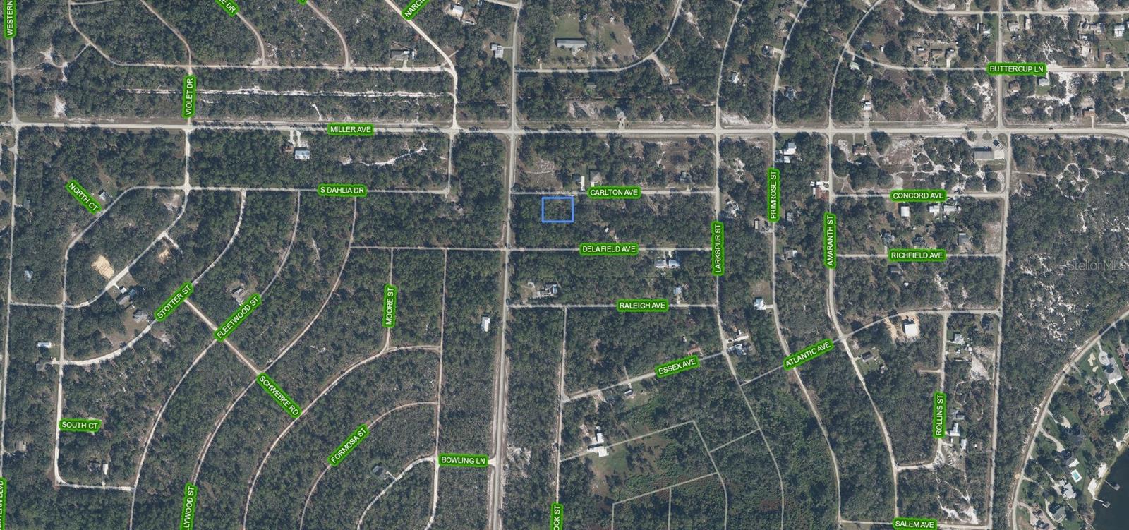 3154 CARLTON AVE, LAKE PLACID, FL, 33852