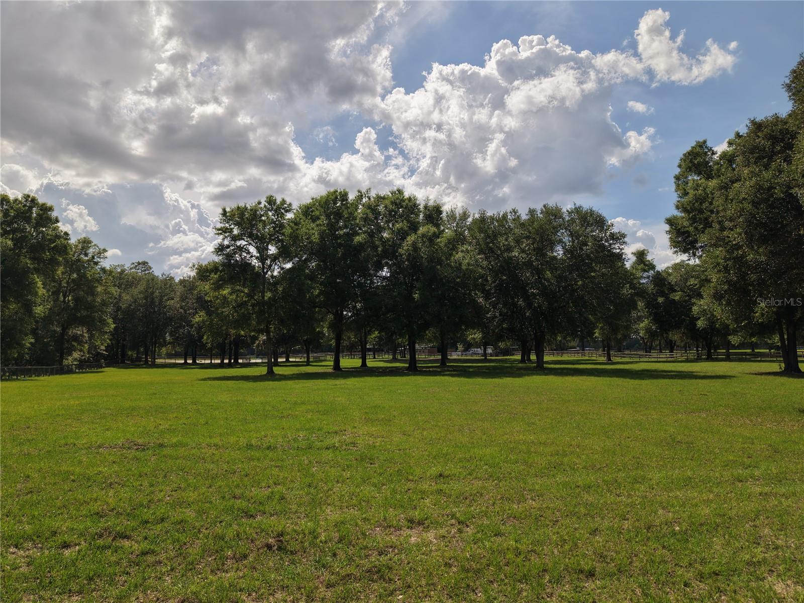 7191 NE 150TH AVE, WILLISTON, FL, 32696
