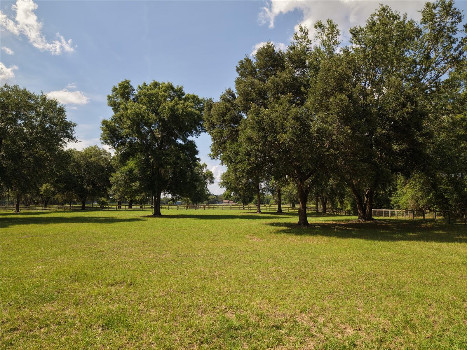 7191 NE 150TH AVE, WILLISTON, FL, 32696