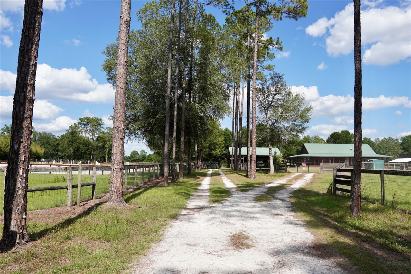 7191 NE 150TH AVE, WILLISTON, FL, 32696